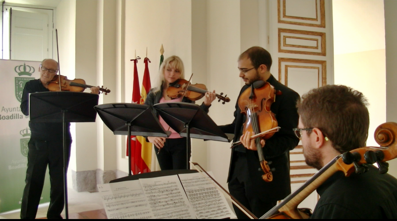 Mikhailova Stars Chamber Orchestra