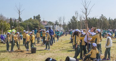 Escolares plantan árboles en Boadilla del Monte