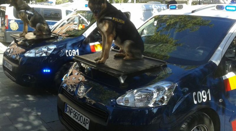 perros-policia