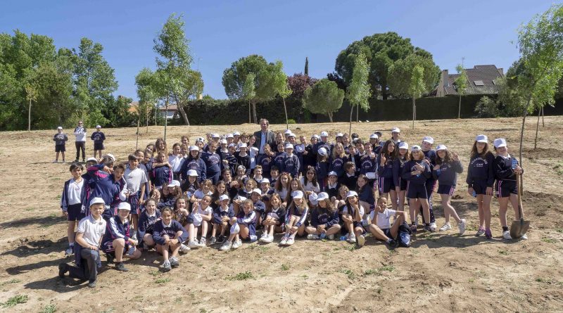 Más de setecientos escolares plantan 200 árboles entre Valdepastores y El Encinar en el Día del Árbol