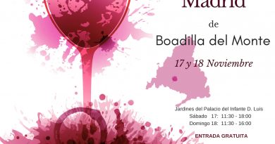 I Feria de la Denominación de Origen Vinos de Madrid
