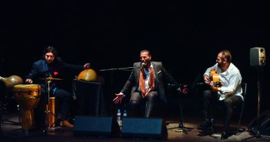 Festival de Flamenco de Boadilla 2019