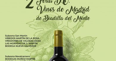 Teleboadilla. La II Feria de la D.O Vinos de Madrid reúne a 15 bodegas el próximo fin de semana en Boadilla