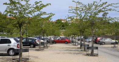 Teleboadilla. Protectores para árboles en el parking ecológico del Palacio