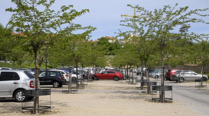 Teleboadilla. Protectores para árboles en el parking ecológico del Palacio