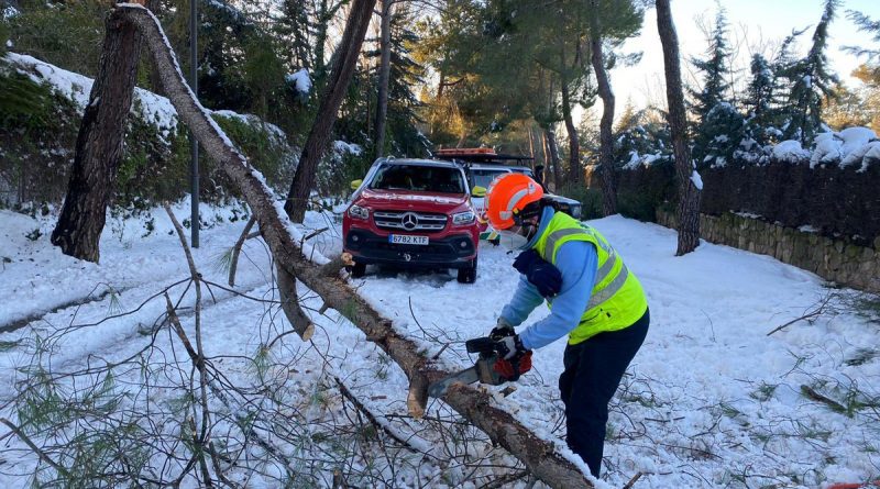 Operario retira ramas de árboles caídos en Boadilla del Monte por el temporal Filomena