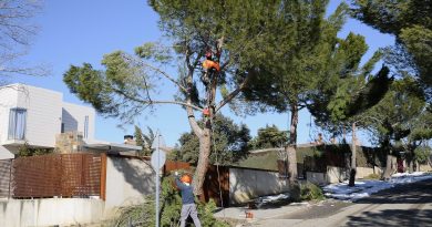Teleboadilla. Operarios retiran ramas de los árboles después del temporal Filomena