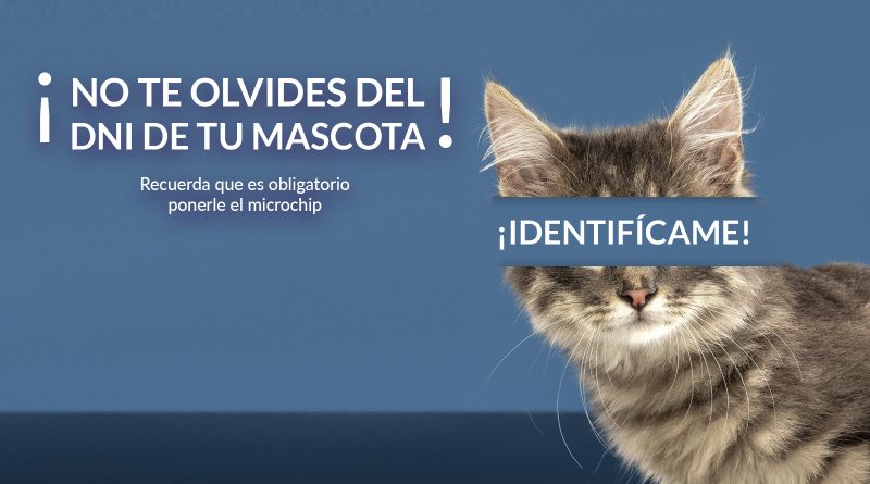 Teleboadilla. El Ayuntamiento inicia una campaña de concienciación para identificar con microchip a todos los animales de compañía 