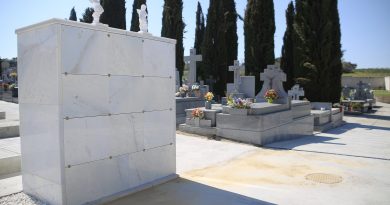 Teleboadilla. Cementerio municipal de Boadilla en Carretera 501