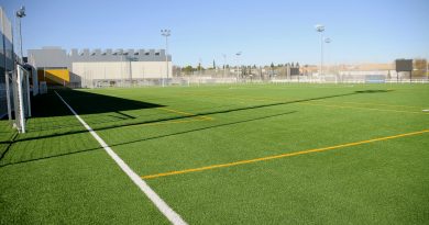 Teleboadilla. Campo de fútbol en el complejo deportivo Condesa de Chinchón