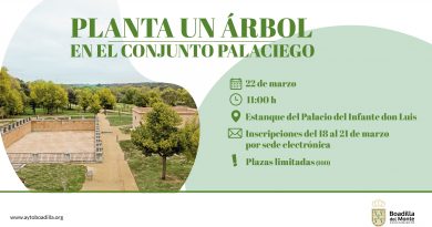 Participa en una plantación de árboles en el entorno del Palacio