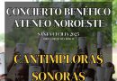 Concierto solidario Cantimploras Sonoras