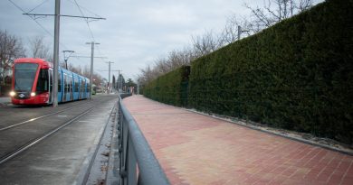 Mejora del acerado en la carretera de Villaviciosa