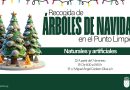 Dónde depositar los árboles de Navidad
