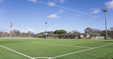 Cambio de césped artificial de tres campos de fútbol en el Ángel Nieto