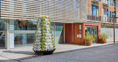 Boadilla rinde homenaje al Papa con una colorida transformación floral