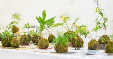 Taller juvenil para crear kokedamas como regalo del Día de la Madre