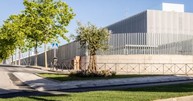 Renovación de las zonas verdes de la calle Ronda