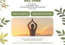 Sesión gratuita de yoga al aire libre