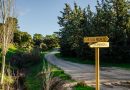 Parque Boadilla, Las Lomas y Bonanza conectadas por senda