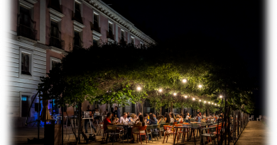 Los Jardines del Infante abre esta tarde en el Palacio