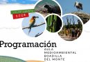 Programación estival del Aula Medioambiental