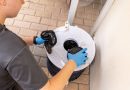 Boadilla intensifica la vigilancia contra el mosquito tigre