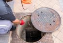 Labores de prevención contra plagas urbanas