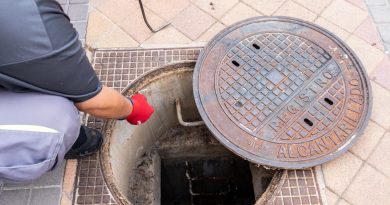 Labores de prevención contra plagas urbanas
