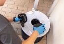 Boadilla intensifica la vigilancia contra el mosquito tigre