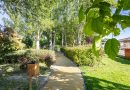 Boadilla amplía su patrimonio verde con nuevas plantaciones