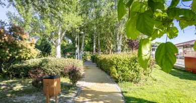 Boadilla amplía su patrimonio verde con nuevas plantaciones