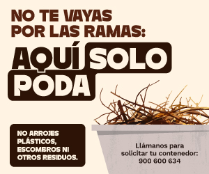 Bonificaciones fiscales