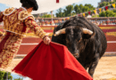 Boadilla prepara unas fiestas con tradición taurina para todas las edades